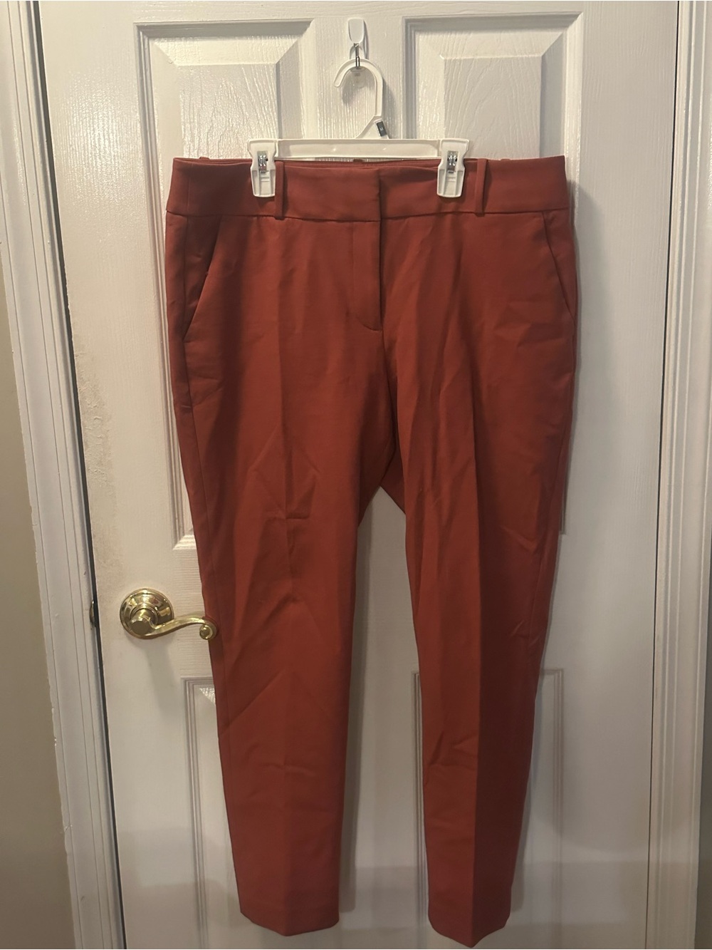 LOFT Rust-Orange High-Waist Dress Pants